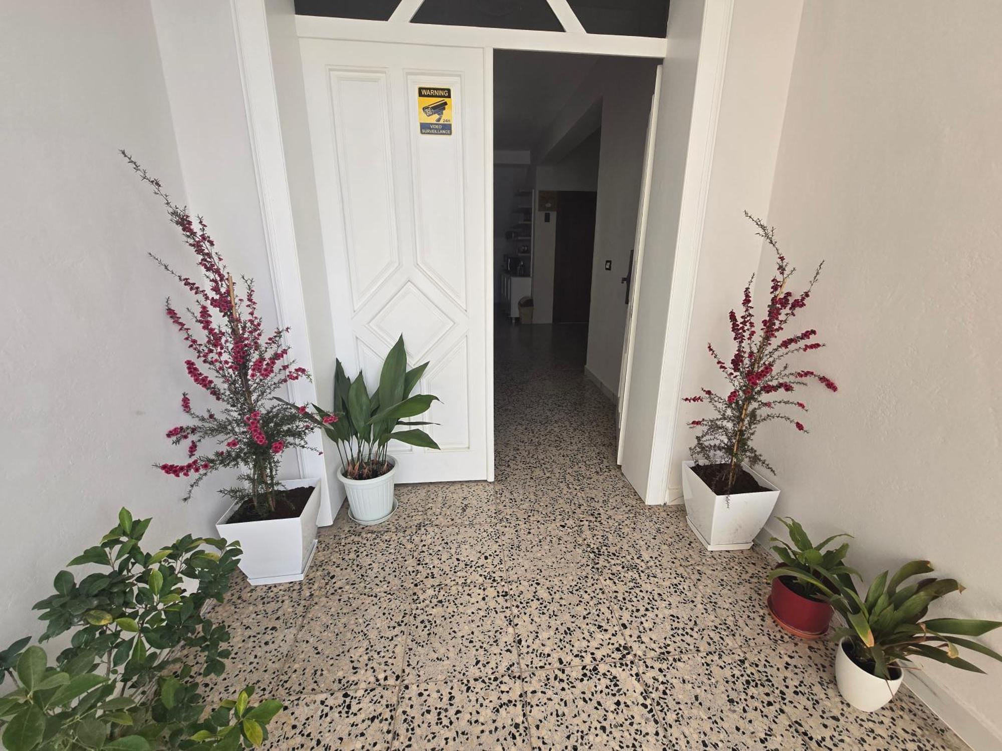 Hotel Aleks Shkodër Esterno foto